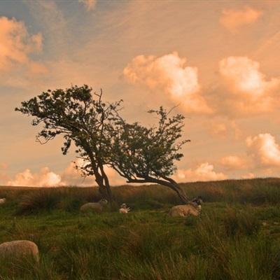 IM体育官方网站