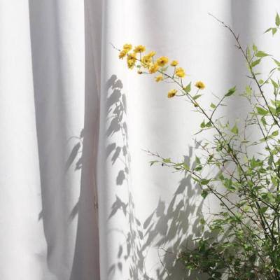 博鱼·中国体育官网